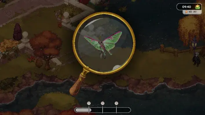 A moth viewed through the observation magnifying glass in the TGS preview